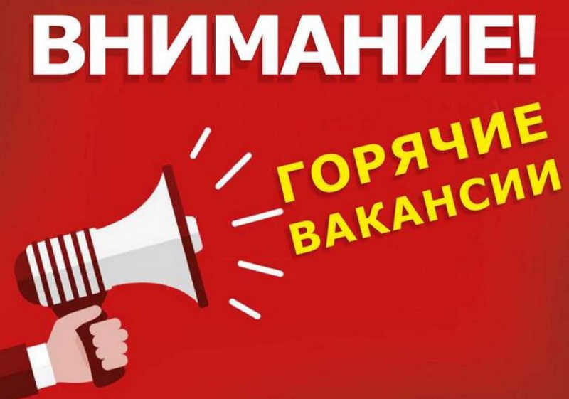 Работа с питанием, проживанием на море